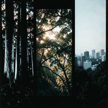 Cover art for Tree City